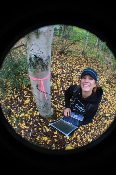 UAF scientist Jessie Young-Robertson measures tree water content of a birch tree near Fairbanks, Alaska.