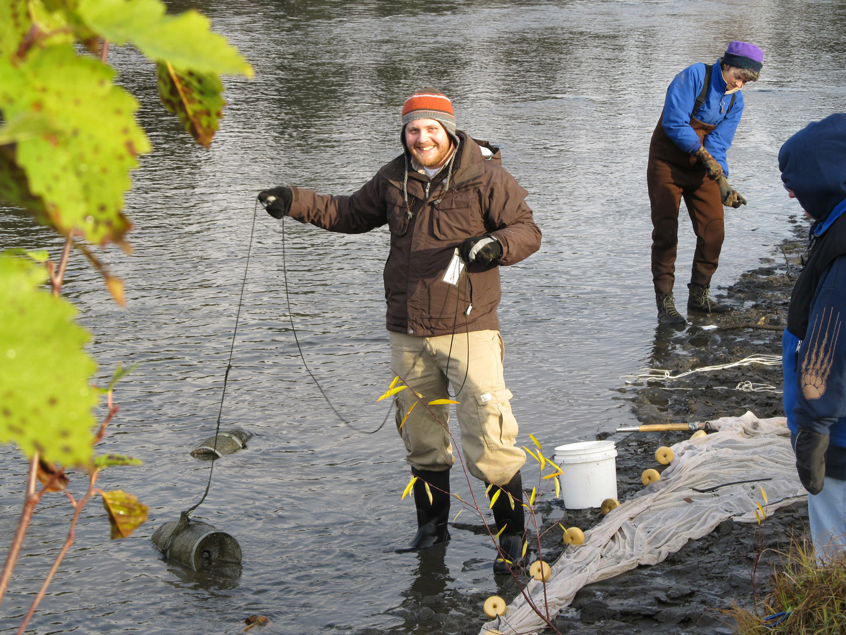 Photo by Peter Stortz. Richard Bierer, a teacher from the Southwest Alaska community of Levelock, learns fish-sampling techniques using minnow traps and seine nets on the Chena River during the 2011 teacher in-service