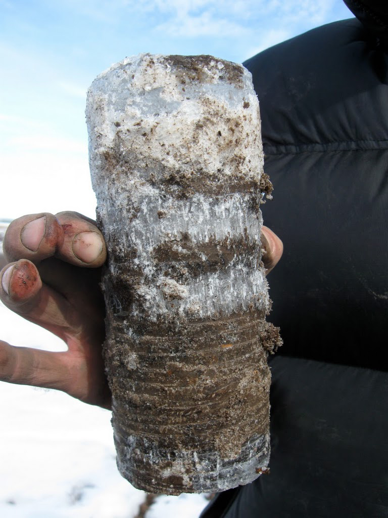 Photograph by Tamara K. Harms, July 2009. Ben Abbot displays an intact core sample of ice rich permafrost.