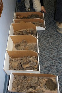 Photo by Kevin Whitworth, MTNT, Limited.. The bones from three ancient people in temporary storage at the MTNT, Limited offices in McGrath.