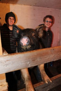 Photo by Nancy Tarnai. Wyatt (left) and Dakota Wilcher in the barn with Mildred the pig.