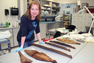 UAMN photo. Researcher Jenya Anichenko poses with the umiak pieces discovered in the Birnirk collection at the University of Alaska Museum of the North and dated at 1,000 years old, the oldest skin boat assembly known in the Circumpolar North. 