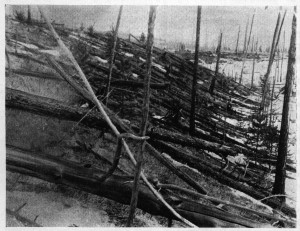 Photo by: The Leonid Kulik Expedition, St. Petersburg Museum.. A photo from the Leonid Kulik expedition to the Tunguska region of Russia in 1929. A meteorite or comet knocked down millions of trees in one of the largest space-object-meets-Earth events in recorded history.