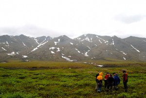 Photo D.A. Walker. Students during a UAF Summer Sessions arctic geobotany course in the Brooks Range learning about tundra and shrub response to climate warming.. 
