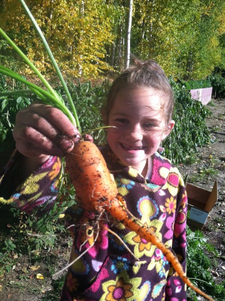 Children at Two Rivers School enjoyed harvesting crops they had grown at their school. Photo by Todd Denick
