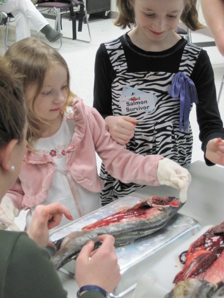 Photo by Jen Arseneau. Visitors can explore hands-on science at the museum's Family Day: Fish.
