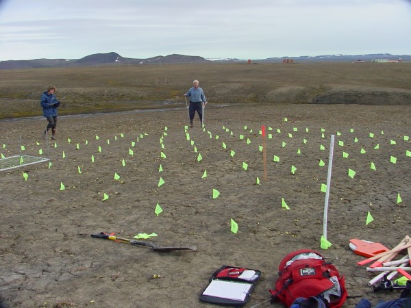 By M.K. Raynolds. Skip Walker, geobotanist with UAF's Institute of Arctic Biology, and a colleague, set up a ground grid at Ellef Ringnes Island in Nunavut, Canada to determine plant growth over the Arctic.