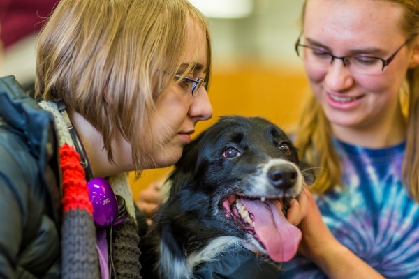 Students enjoy a few stress-free moments with companion dogs.