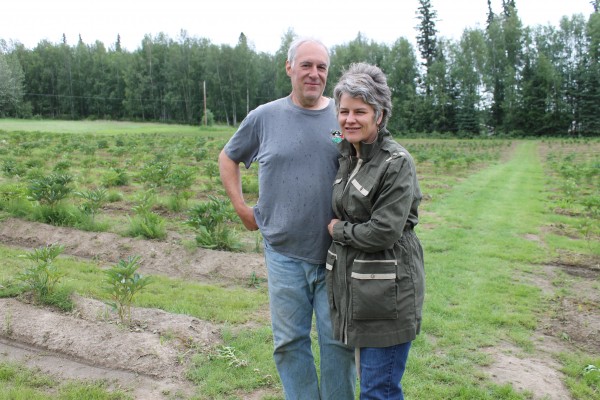 John and Kim Herning pause from working at Northern Lights Peonies.