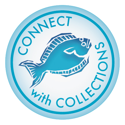 Connect with Collections at the UA Museum of the North