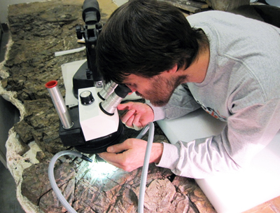 UAMN earth sciences curator Pat Druckenmiller examines the gut content of the first ichthyosaur discovered in Alaska, part of the museum's collection.