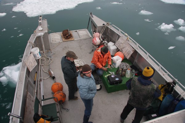 A team of research assistants, the boat captain and a mooring engineer prepare to deploy an underwater microphone into Icy Bay, Alaska.