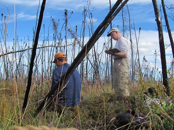 A. David McGuire, right, and Tom Sinclair, left, in Kanuti National Wildlife Refuge, 2012. Photo courtesy of A.D. McGuire/UAF-IAB-AKCFWRU.