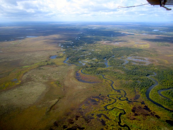 Photo by Sean Brennan.  This tributary stream feeds the upper Nushagak River.
