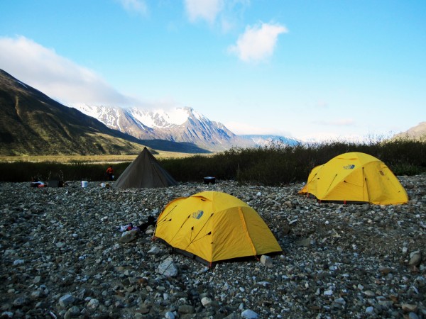 UAMN photo by Pat Druckenmiller..  A field camp occupies a gravel patch on the Alaska Peninsula, where Alaska’s oldest dinosaur tracks were found.