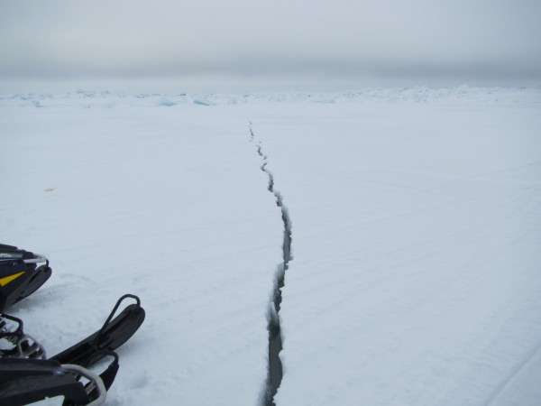 Photo by Billy Adams.. A tuugniq crack is formed when pack ice rubs against the shore fast ice. It is an important feature to consider for ice safety.