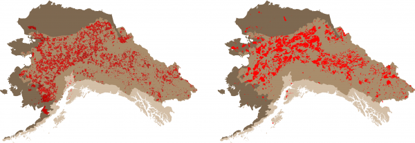 The boreal forest makes up a significant portion of the state of Alaska (medium tan). The maps compare historical fire scars simulated by the ALFRESCO model (left) compared to observed fire scars (right) for the 1950-2009 time period. The ALFRESCO model was developed by the Scenarios Network for Alaska and Arctic Planning at UAF.
