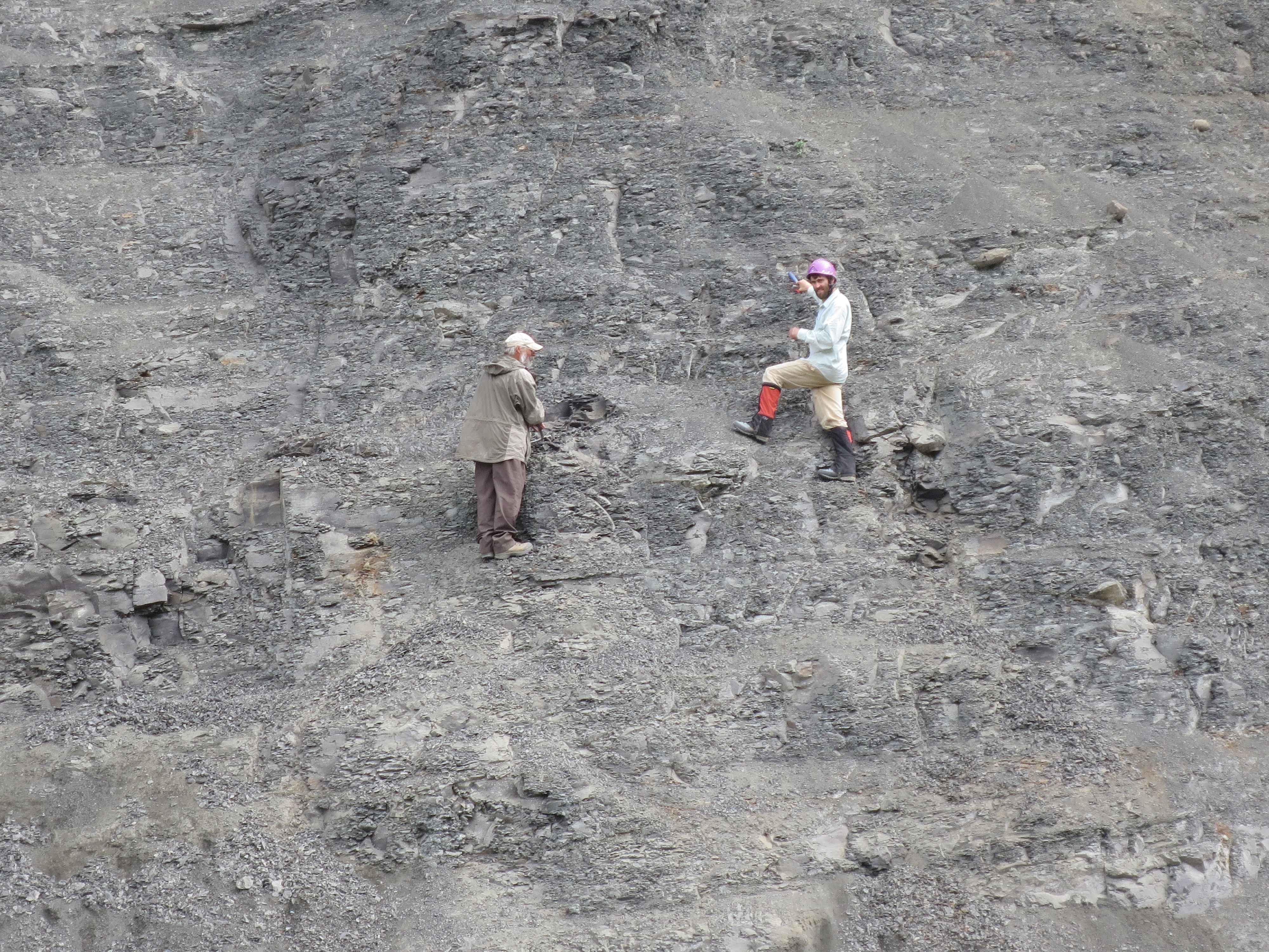 Photo by Pat Druckenmiller. Curvin Metzler (left), who discovered the elasmosaur fossil, and UAMN earth sciences curator Patrick Druckenmiller examine the spot where bones were found sticking out of the cliff in the Talkeetna Mountains.