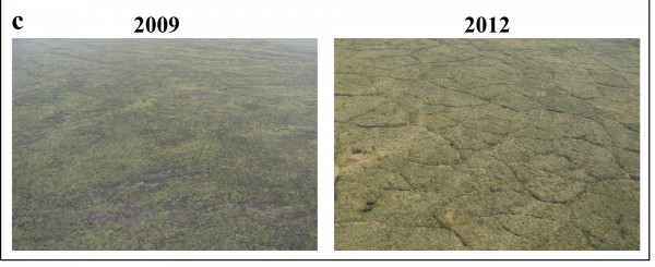 Photo courtesy of Ben Jones..  Photos taken four years apart illustrate tundra differences due to thawing in the Anaktuvuk River burn area.
