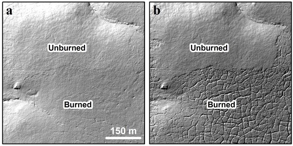 Black-and-white landscapes made from lidar data that show the new texture of the Anaktuvuk River burn site due to thawing after the 2007 fire. These images show the contrast to an adjacent area that did not burn. The first image is from 2009, the second from 2014. Courtesy of Ben Jones.