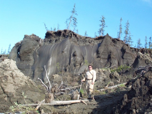 Photo by Sergey Davydov.  Vladimir Romanovsky in front of huge ice wedges in permafrost on an Arctic riverbank.