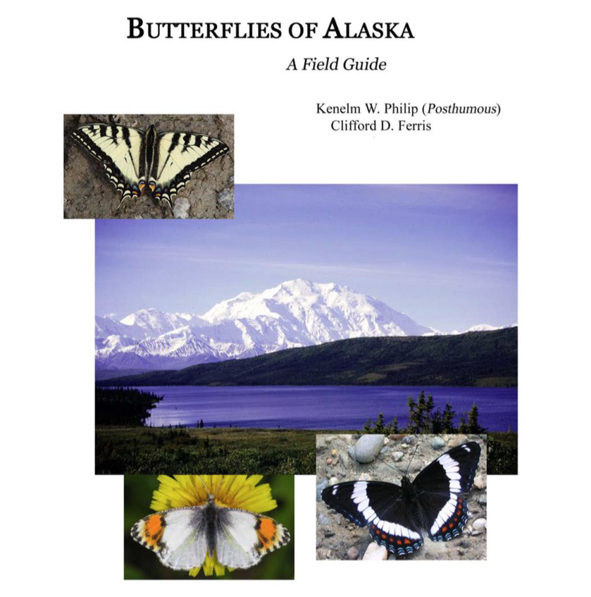 From the cover of “Butterflies of Alaska: A Field Guide” by Kenelm W. Philip and Clifford D. Ferris.