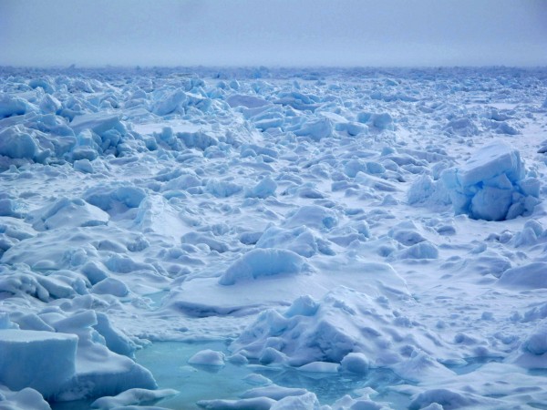 Photo by Ned Rozell..  Sea ice floating off the coast north of Barrow.