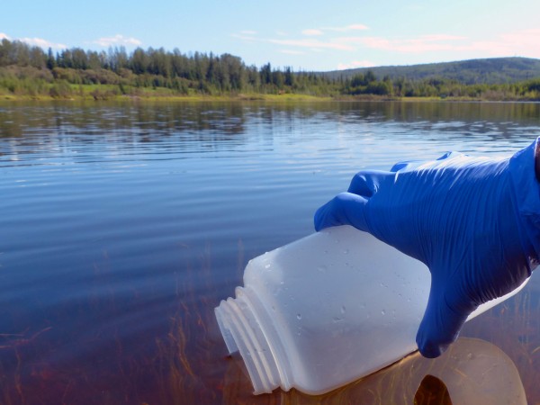 Photo by Mark Spangler. A water sample is collected from a lake to test for environmental DNA evidence.