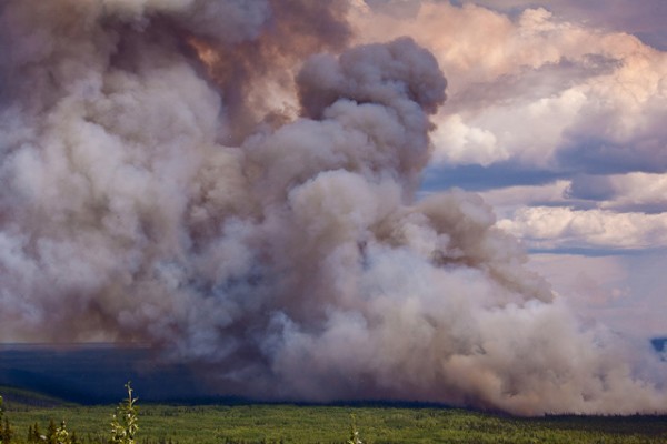 UAF photo by Todd Paris.  A 2009 controlled burn designed to allow researchers a better understanding of wildfire behavior works its way through a 250-acre plot in the Tanana Valley State Forest about 35 miles southwest of Fairbanks.