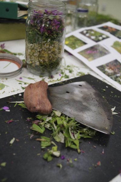 Photo by Sarah Betcher. This ulu and canning jar are among the tools used in making tinctures with wild plants.