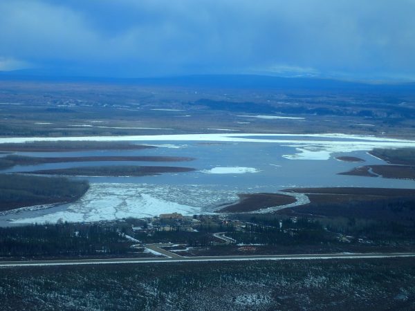 Photo by Ned Rozell.. River ice fills a channel of the Yukon River near Circle a few hours before breakup.