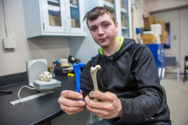 UAF photo by Todd Paris. Dillingham High School student Max Bennett displays a bone and a duplicate made by a 3-D printer. The technology was used to reproduce the skeleton of an orca fetus at UAF's Bristol Bay Campus.