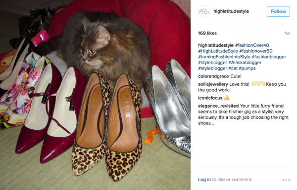 Photo courtesy Nicole Mölders. A post on the High Latitude Style Instagram account shows a cat posing next to a collection of pumps.