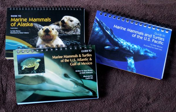 Kate Wynne, a professor emeritus at the University of Alaska Fairbanks, has completed this trilogy of marine mammal guides.