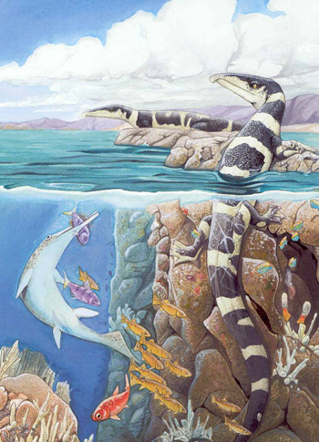 Illustration by Ken Kirkland, from “Dinosaurs and Other Mesozoic Reptiles of California”. This scene depicts the Hosselkus Limestone environment during the Triassic Era. Two thalattosaurs and an ichthyosaur are pictured.