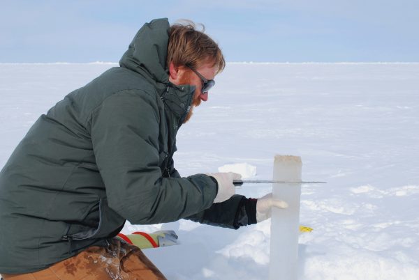 Eric Collins cuts off the bottom of a sea ice core containing sea ice algae. Image courtesy of Eric Collins, University of Alaska Fairbanks.