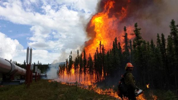 Philip Spor photo.  The Aggie Creek Fire near Fairbanks contributed to the second-largest fire season on record in 2015. A new report estimates that climate change had increased the risk of fires of that severity by 34-60 percent.