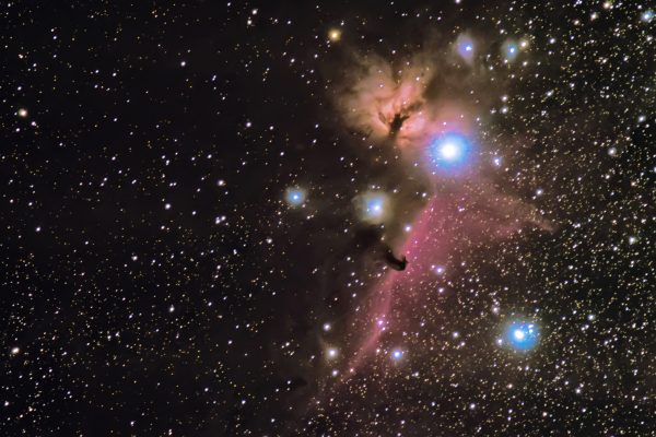 Jason Ahrns photo. Jason Ahrns took this photo of the Horsehead and Flame nebulas with his D7000 on a special mount that counteracts the rotation of the Earth, so the camera spins exactly opposite the way the Earth is spinning, allowing long exposures of the stars without getting star trails.