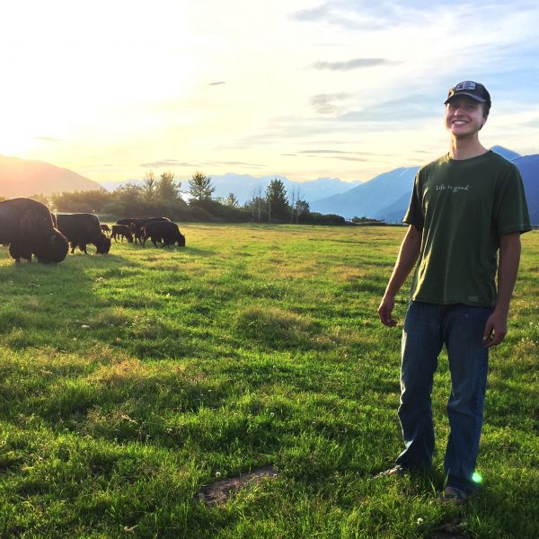  Photo courtesy of Luke Rogers. Luke Rogers conducted research on captive wood bison at the Alaska Wildlife Conservation Center near Girdwood during the summer of 2016.