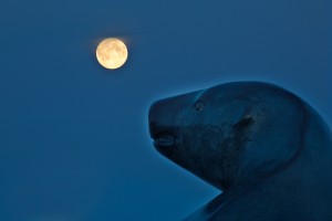 The Nanook sculpture in front of the Patty Center seems to keep a watchful eye on the rising moon.