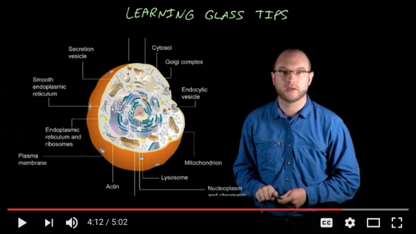 Sean Holland with graphics and text on Learning Glass.