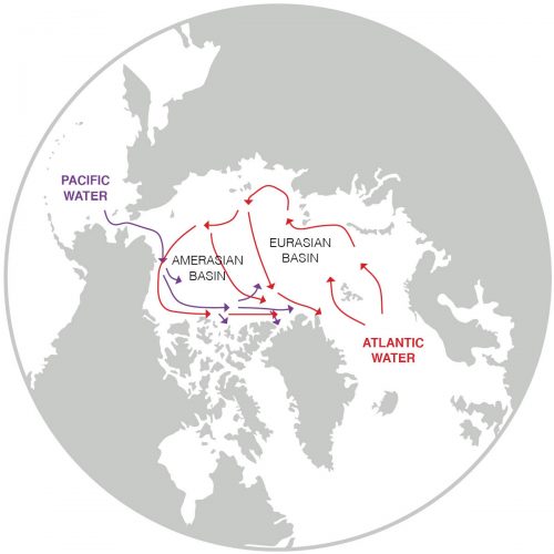 <i>Graphic adapted from Frontiers in Marine Science paper</i><br>A map of the Arctic Ocean shows the location of the Amerasian and Eurasian basins. Arrows show the path of warm, fresh Pacific water and warm, salty Atlantic water into the region.