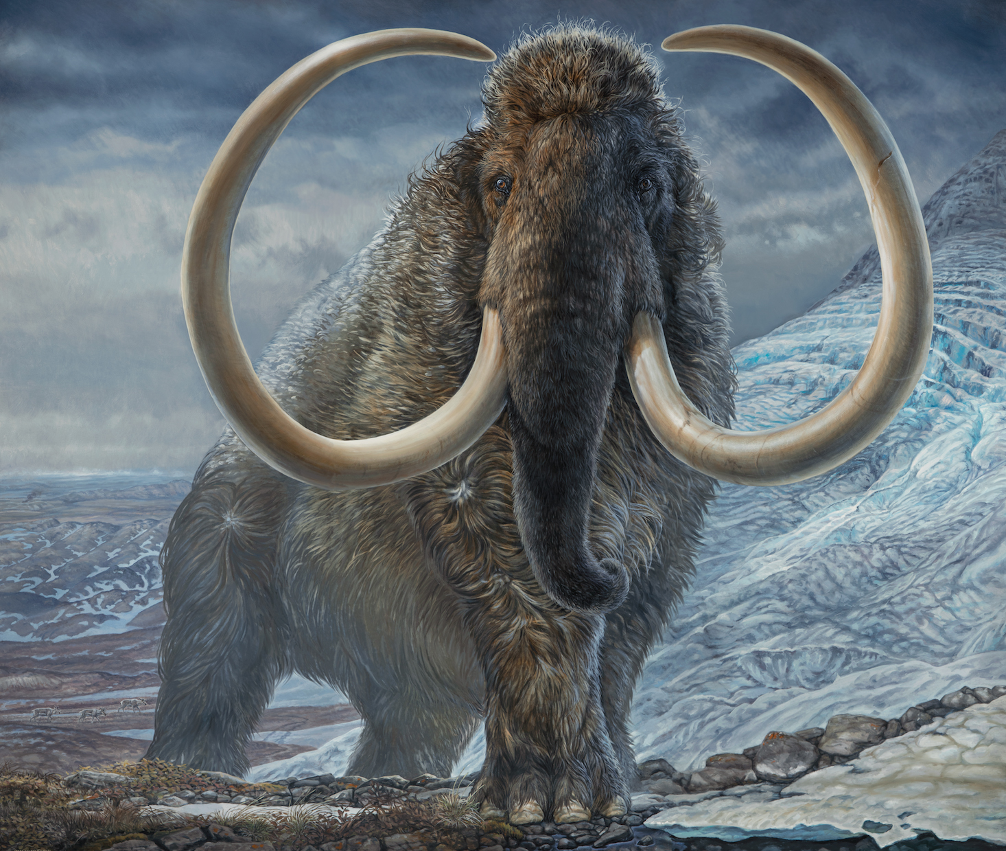 Image of a mammoth produced from an original life-size painting by paleo artist James Havens.
